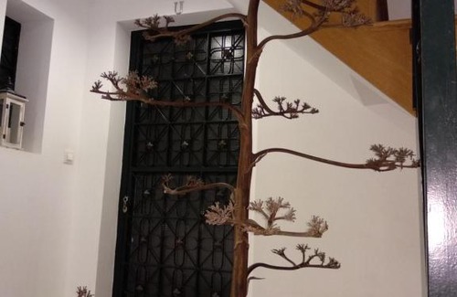 Almeria Centro Apartment | Apartamento Estrella