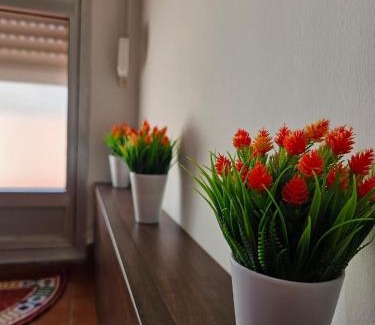 Pontedeume Apartment | Apartamento Playa de Ber Ber-Mar