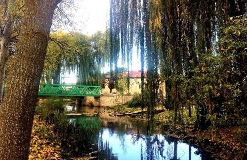 Tubilla del Lago Apartment | Apartamento Ribera del Duero Reserva