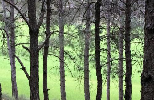 Tubilla del Lago Apartment | Apartamento Ribera del Duero Reserva