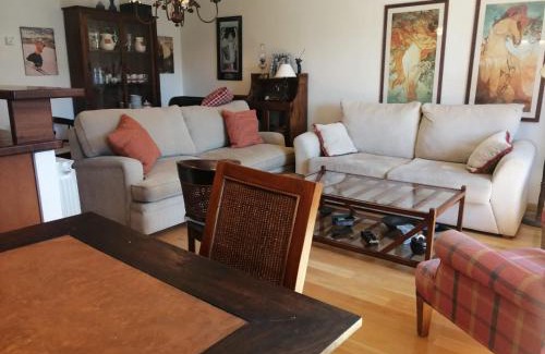 Sallent de Gallego Apartment | Apartamento Sarrato IV de Sallent