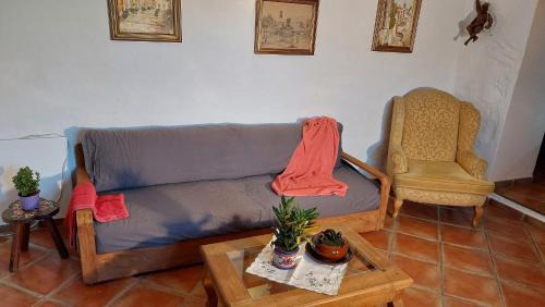 El Guincho Apartment | Apartamentos Monasterio de San Antonio - Rustikales Apartment mit kleiner Innenhofterrasse