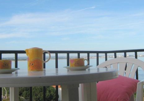 Ameijeira Apartment | Apartamentos Pinhão