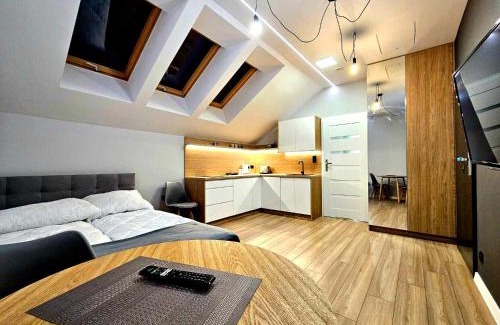 Ilawa Apartment | Apartamenty na 102 apt nr 1