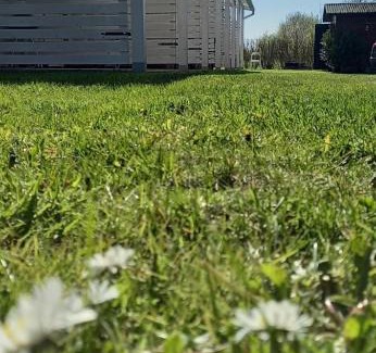 Mielno Apartment | Apartamenty Na Wschodniej