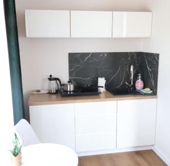 Kudowa Zdroj House | Apartamenty Pod Lwami