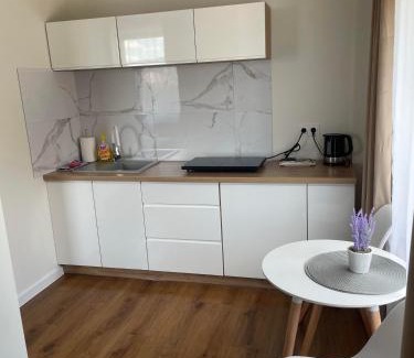 Kudowa Zdroj House | Apartamenty Pod Lwami