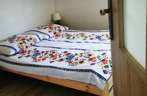 Solina Apartment | Apartamenty w dolinie 665-733-924
