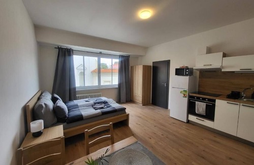 Brno-stred Apartment | Apartmá Beatrice