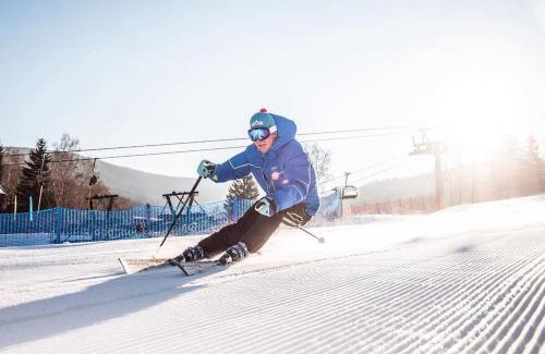 Destne Apartment | Apartmán Adam Deštné v Orlických horách