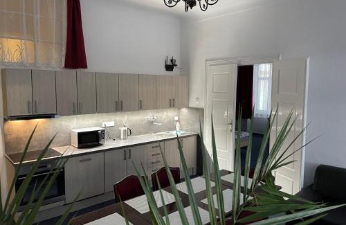 Netolice Apartment | Apartmán Netolice 207 Deluxe