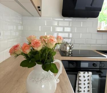 Olesnice Apartment | Apartmán U včelína