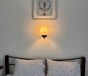 Olesnice Apartment | Apartmán U včelína