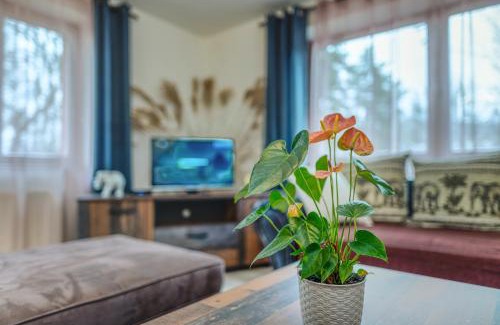 Levoca Apartment | Apartmány Kašper