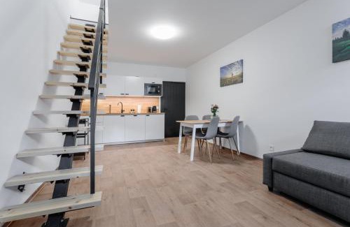 Jachymov Apartment | Apartmány Stříbrná Liška