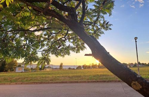 Ankaran Apartment | Apartma Čebelica