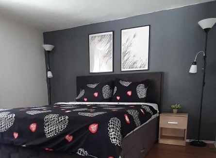 Leskovac Apartment | Apartman Živković ***