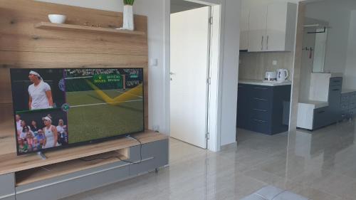 Veliko Gradiste Apartment | Apartman 4 BMB