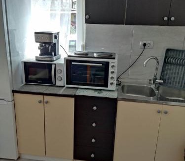 Sarsoni Apartment | Apartman David-Dražice