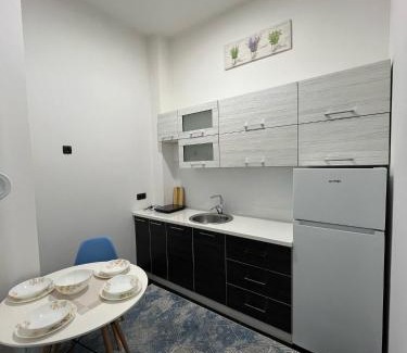 Ilidza Apartment | Apartman EA2 Bulevar, Sarajevo - FREE Parking