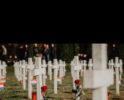 Vukovar Apartment | Apartman Eden