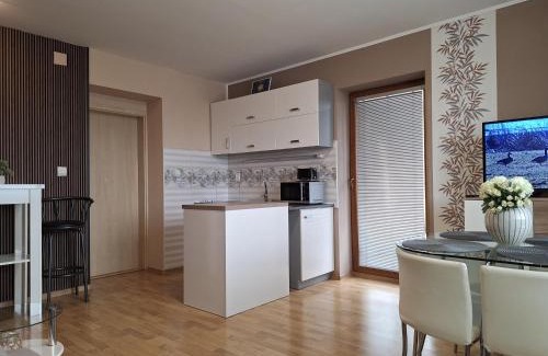 Liptovsky Mikulas Apartment | Apartman Elegance