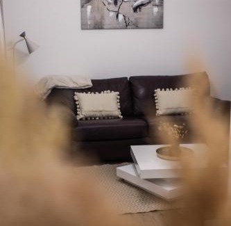 Banja Koviljaca Apartment | Apartman Jelena II