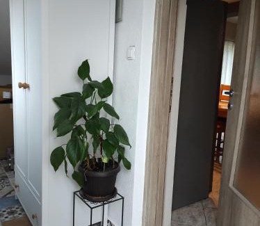 Bilice Apartment | Apartman Lucia