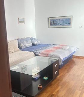 Velji Vinogradi Apartment | Apartman Luka Budva
