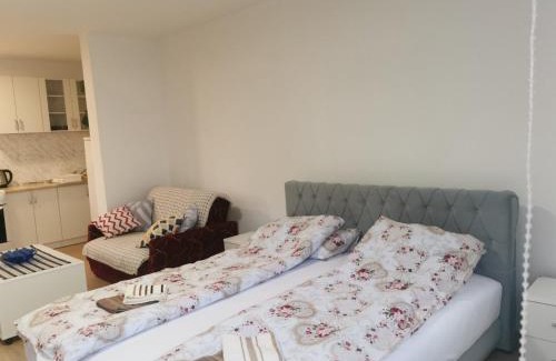 Visegrad Apartment | Apartman Mani 2