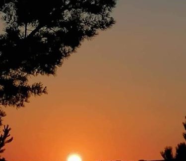 Zlatibor House | Apartman Marija