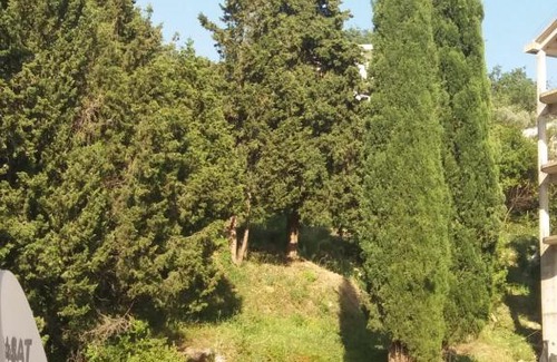 Tomicici Apartment | Apartman Mona