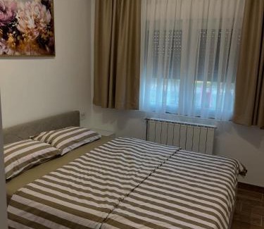 Bijeljina Apartment | Apartman Nikolic