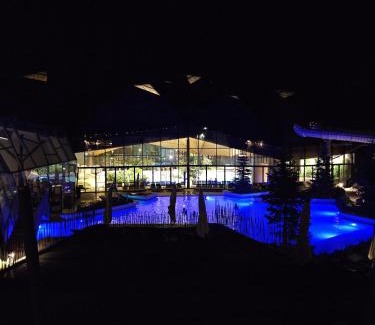 Ravne na Koroskem Apartment | Apartman O Terme Olimia