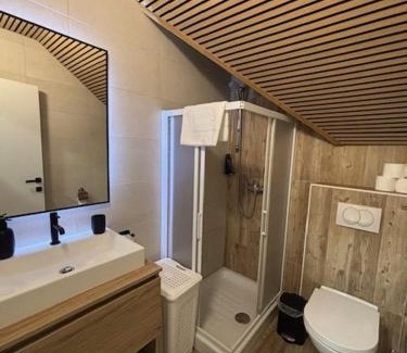 Ravne na Koroskem Apartment | Apartman O Terme Olimia