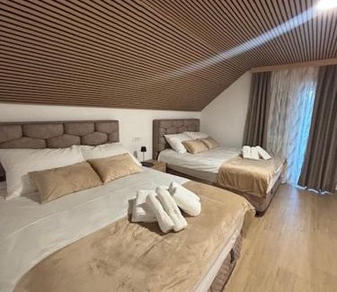 Ravne na Koroskem Apartment | Apartman O Terme Olimia