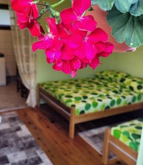 Mokra Gora Apartment | Apartman Panorama