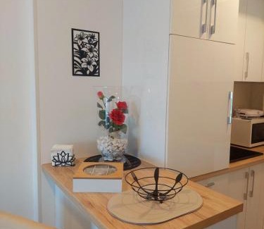 Banja Koviljaca Apartment | Apartman TRI KRALJA 1