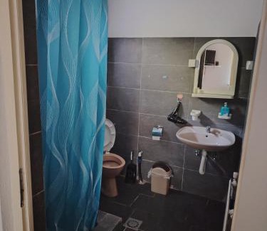 Central Serbia Apartment | Apartmani Mihajlovic Sisevac