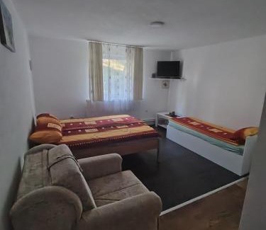 Central Serbia Apartment | Apartmani Mihajlovic Sisevac