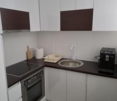 Banja Koviljaca Apartment | Apartmani Počuča