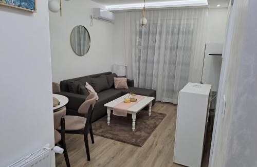 Banja Koviljaca Apartment | Apartmani Počuča
