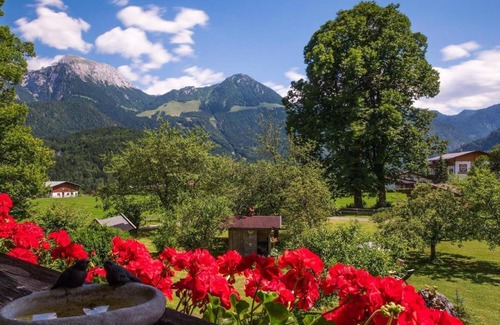 Unterschonau Apartment | Apartment "3 Apartment mit Gartenblick" with Mountain View, Private Balcony & Wi-Fi