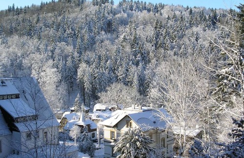 Altenberg Apartment | Apartment 3 Hofehübel - Apartments "Villa Angelika"