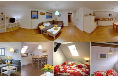 Erfurt Old Town Apartment | Apartment 7 Sunflower/3 system. OG DG - apartments in the house to golden Schaar