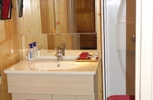 Viel-Alpe Apartment | APARTMENT ALPE D'HUEZ AREA OF VIEL ALPE