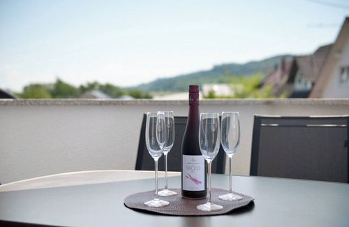 Uhldingen-Muehlhofen Apartment | Apartment 'Balkon' with large south-facing balcony and Wi-Fi