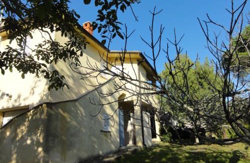 Banjole Apartment | Apartment Bolko - near the beach