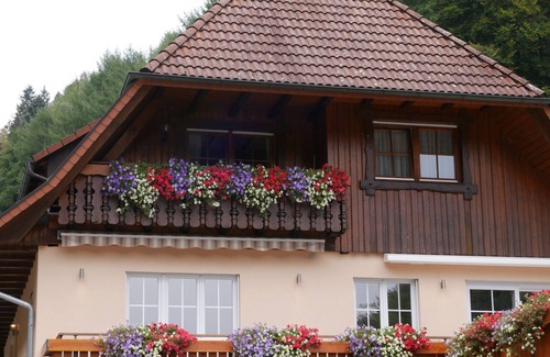 Wolfach - Saint Roman Apartment | Apartment 'Eulennest' with Shared Pool, Private Terrace and Wi-Fi