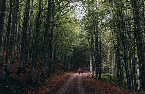 Emmendingen Apartment | Apartment 'Ferienwohnung, 45qm' with Wi-Fi